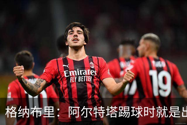 格纳布里：阿尔特塔踢球时就是出色领袖；祝福凯恩能拿金球奖